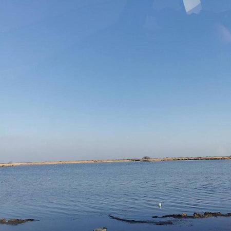 Plages De Camargue Et Logement Dans Un Site Calme De Reve Arles Exterior foto