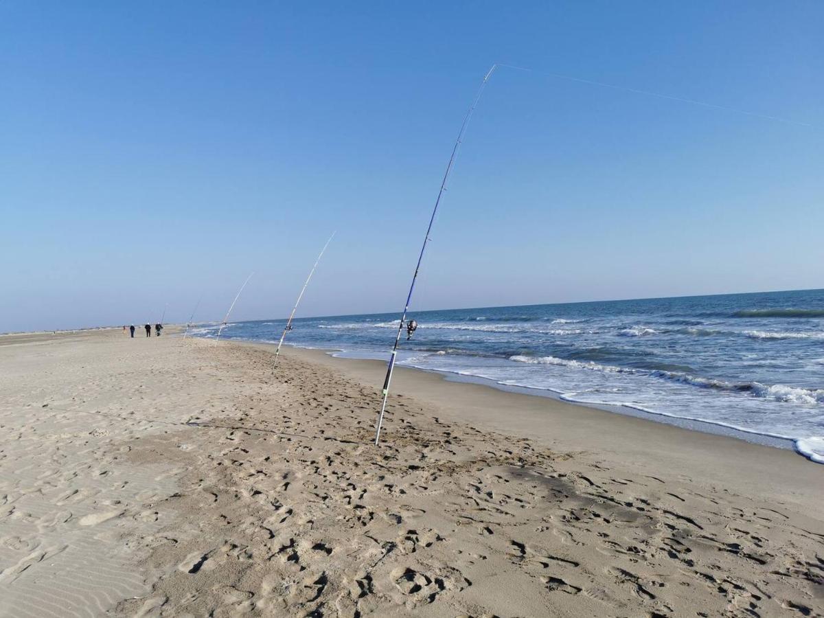 Plages De Camargue Et Logement Dans Un Site Calme De Reve Arles Exterior foto